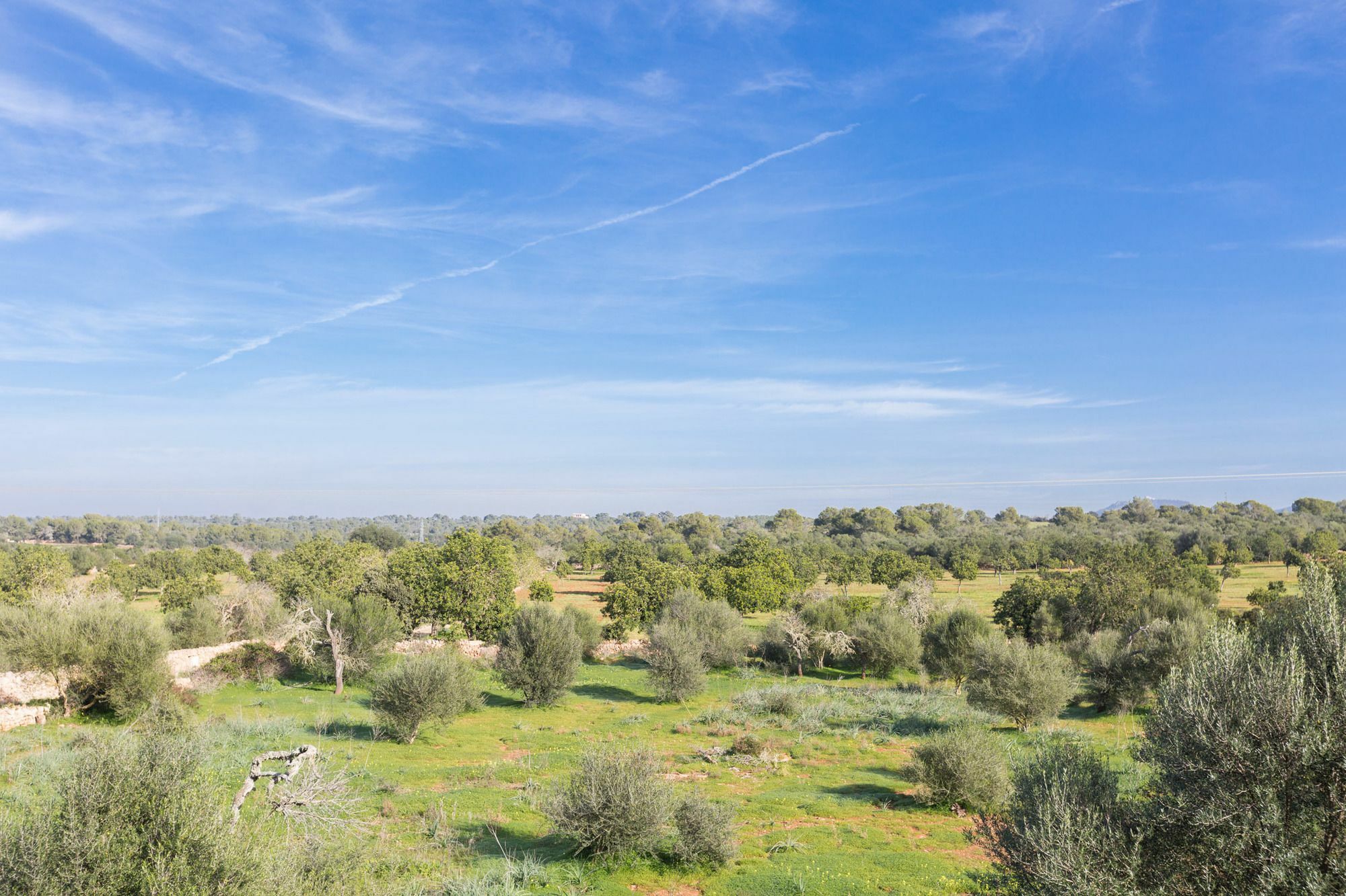 Ca Na Carme Villa Кампос Екстериор снимка